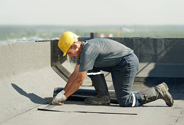Best Insulation Replacement Services  in Deer Park, TX